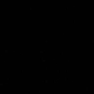 Meet your Posher, Dariah